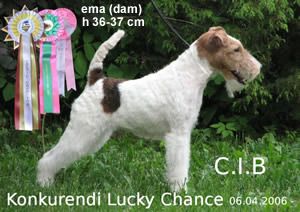 ema